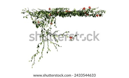 Similar – Image, Stock Photo Christmas (Rest) Winter