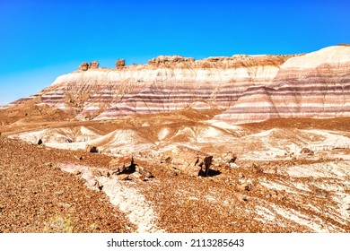 Plant Fossils In Badlands Of Petrified Forest National Park, Arizona, USA