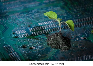 plant green on a circuit board technology innovations