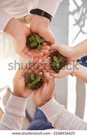 Plant in group hands or women palm for earth day gardening, startup growth and sustainable business. Eco friendly, community hope and people teamwork with hand holding soil above for a green project