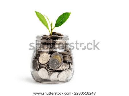 Plant growing from coins in glass jar isolated on white background. Investment and interest concept