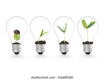 Plant growing in lightbulb , nature technology ecology ideas growth beginning concept object design