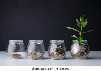 Plant Growing On Coins In Glass Jar. Increasing Quantity Of Cash, Startup, Money Growth Concept