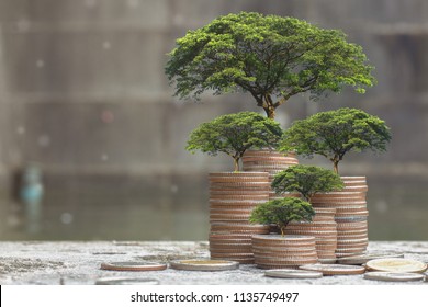 Plant growing on Money coin stack . Saving money concept. finance sustainable development . economic growth.