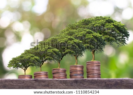 Plant growing  on Money coin stack . Saving money concept. finance sustainable development . economic growth. 
