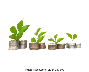 Plant growing on pile of coins lying on white background  The concept of savings, interest, investments and interesting business concepts. - Shutterstock ID 2334287393
