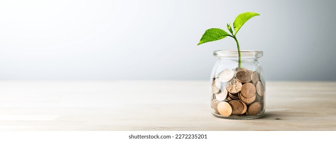 Plant Growing Out Of Coin Jar On Table In Office With Soft Grey Background - Investing And Business Success Concept	
 - Powered by Shutterstock