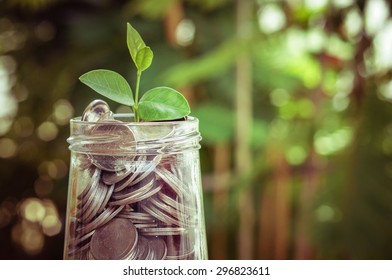 plant growing out of coins with filter effect retro vintage style