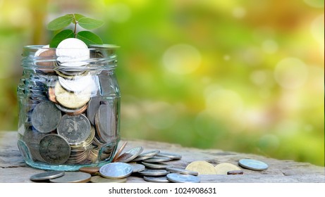 Plant growing over Money coins in glass bottles with softlight background.Insurance money savings, retirement planning ,travel and investment ideas, passive income.education plan