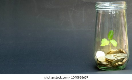 Plant Growing Over Money Coins In Glass Bottles With Black Background.Insurance Money Savings, Retirement Planning ,travel And Investment Ideas, Passive Income.education Plan