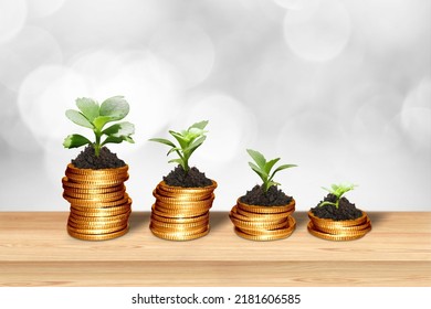 Plant Growing In Savings Coins investment and retirement or education Concept - Shutterstock ID 2181606585