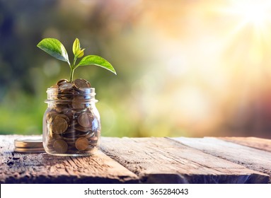 Plant Growing In Savings Coins - Investment And Interest Concept
 - Shutterstock ID 365284043