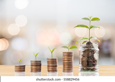 Plant Growing In Savings Coins/ Investment And Retirement Or Education Concept