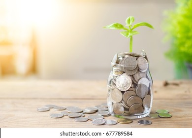 Plant growing in savings coins jar and coins on wooden table. Business growth, interest and investment concept. - Powered by Shutterstock