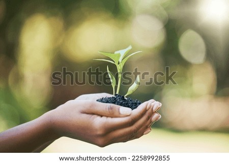 Plant, growth and hands for earth day, sustainability and gardening in nature, agriculture and farming with hope. Green, eco friendly and sustainable person hand holding small tree for development