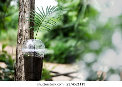 Plant growth up on used plastic cup.Reuse or zero waste concept. - Shutterstock ID 2174521113