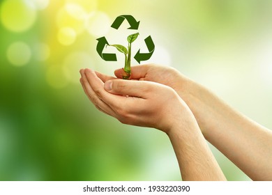 The Plant Is In The Hands Of A Person And The Sign 