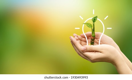 A plant in a light bulb in the hands of a person. Eco-friendly environment - Shutterstock ID 1930493993