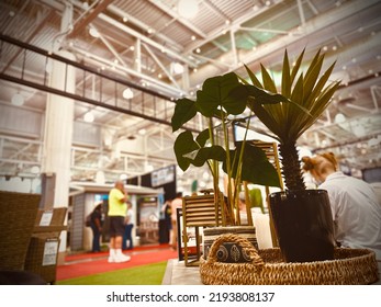 Plant Living Room Iowa State Fair Ground