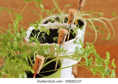 Plant Markers For Springtime Garden