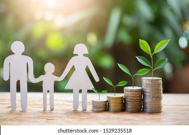 plant money coins saving growth up increase to high profit interest for concept investment mutual fund finance and provident pension retirement