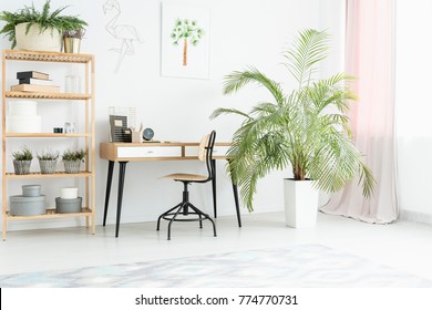 Plant Next To Desk And Chair In Bright Workspace With Wooden Shelves And Poster On White Wall