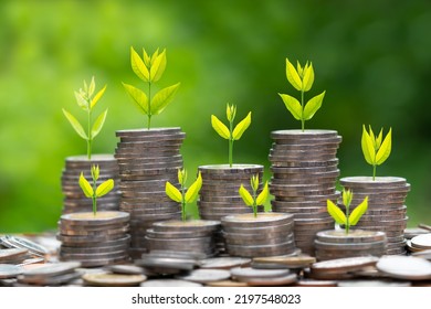 Plant On Coin Stack Growing Over Green Bokeh Background,Strategy Concept.tree Growing On The Coin, Business Finance, Earning, Benefits, Capital,Save Money, Fund,bond,Market Growth,return On Investment