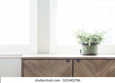 Plant On Dresser With Window Light