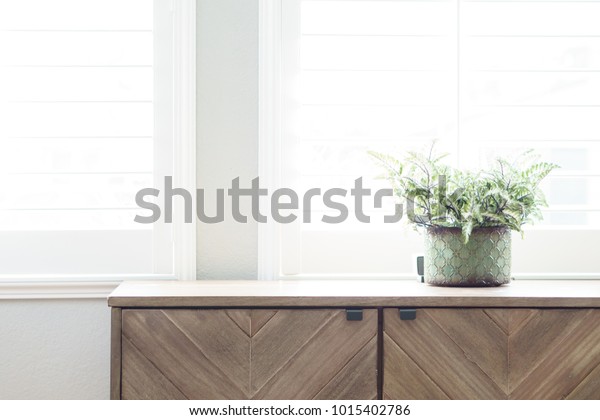 plant on dresser with window\
light