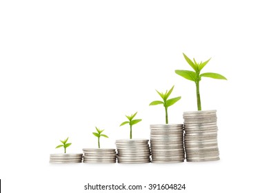 plant on row of coin money on white background - Shutterstock ID 391604824