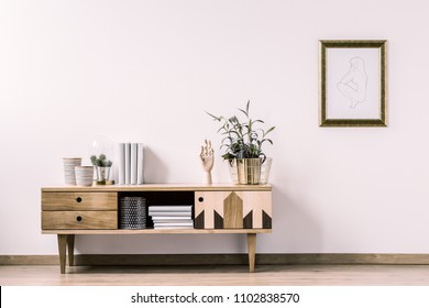 Plant on rustic cupboard against white wall with poster in gold frame in minimal living room interior