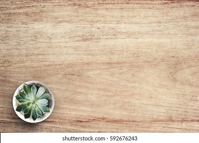 Plant On Table