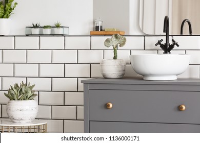 Plant on table next to grey cabinet with washbasin in simple modern bathroom interior. Real photo