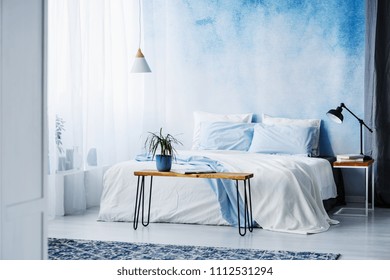 Plant on wooden table in front of bed with blue cushions in bedroom interior with black lamp
