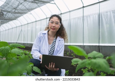 Plant Pathologists Or Phytopathologists Asian Women Study Plants And Their Biological Processes To Affect Plant Health In Greenhouse. Food Science, Research In Agriculture And Future Farming