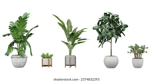 Plant Portraits Beautiful Transparent Plant Cut-Outs banana tree cactus in pot - Powered by Shutterstock