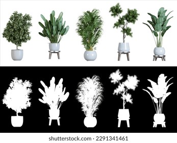 Plant in pot. Green plant isolated on white background. PNG file with transparent background also available. Cutout foliage in a stone plant pot. High quality clipping mask for professional compositio - Shutterstock ID 2291341461