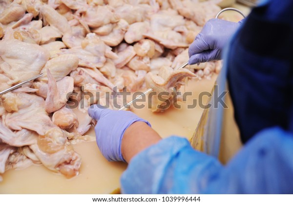 Plant for processing poultry in the food\
industry. chicken