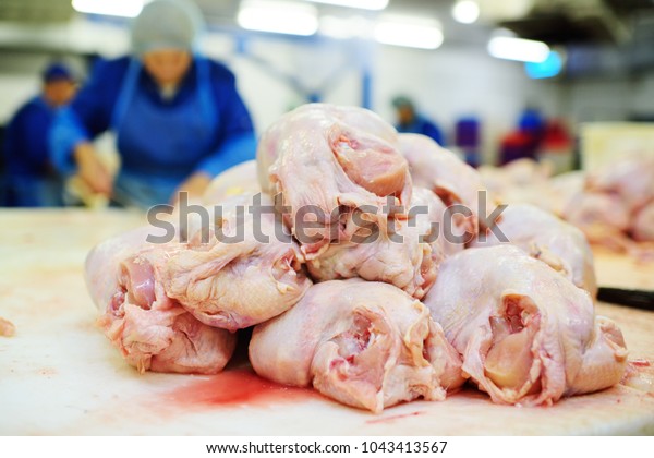 Plant for processing poultry in the food
industry. chicken