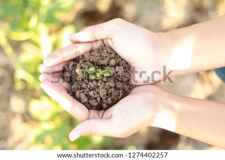 Similar – Image, Stock Photo Dirty boy hands holding small young herbal sprout plant