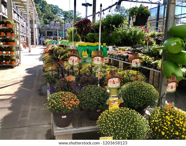 Plant Selection Home Depot Garden Center Stock Photo Edit Now