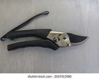 Plant Shears With Cement Floor Background