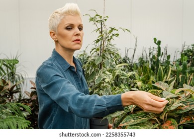 Plant shop. Easy houseplants. Take good care houseplants. Girl hold plant in pot. Floral shop. Botany is about plants flowers and herbs. Caucasian happy woman enjoy planting indoor space. Home garden. - Shutterstock ID 2258355743
