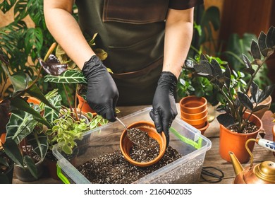 Plant store worker wearing apron filling the ceramic pot with the soil. Seedlings planting process. Home gardening. Hobbies and leisure concept - Powered by Shutterstock