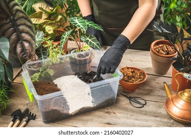 Plant store worker wering black gloves mixing the soil mix ingredients in the plastic container. Home gardening concept. Cultivation and care for the indoor potted plants. - Shutterstock ID 2160402027