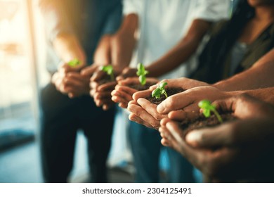 Plant, sustainability and environment with hands of business people for teamwork, earth and support. Collaboration, growth and diversity with employees and soil for future, partnership or community