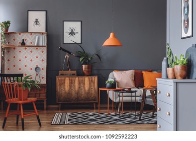 Plant And Telescope On Wooden Cabinet Next To A Sofa In Rustic Living Room Interior With Orange Lamp