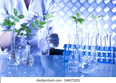Plant in a test tube in hands of the scientist 