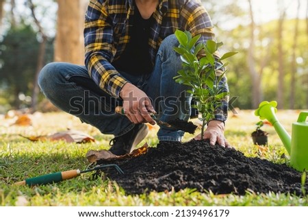 Plant a tree. Close-up of a young volunteer planting a tree and watering it. environmental and ecology concepts