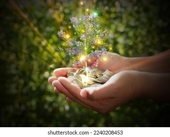 Plant or tree grows on a stack of coins in hands with flying glowing gloden particles and light rays. Finance, account, saving, and investment concept 